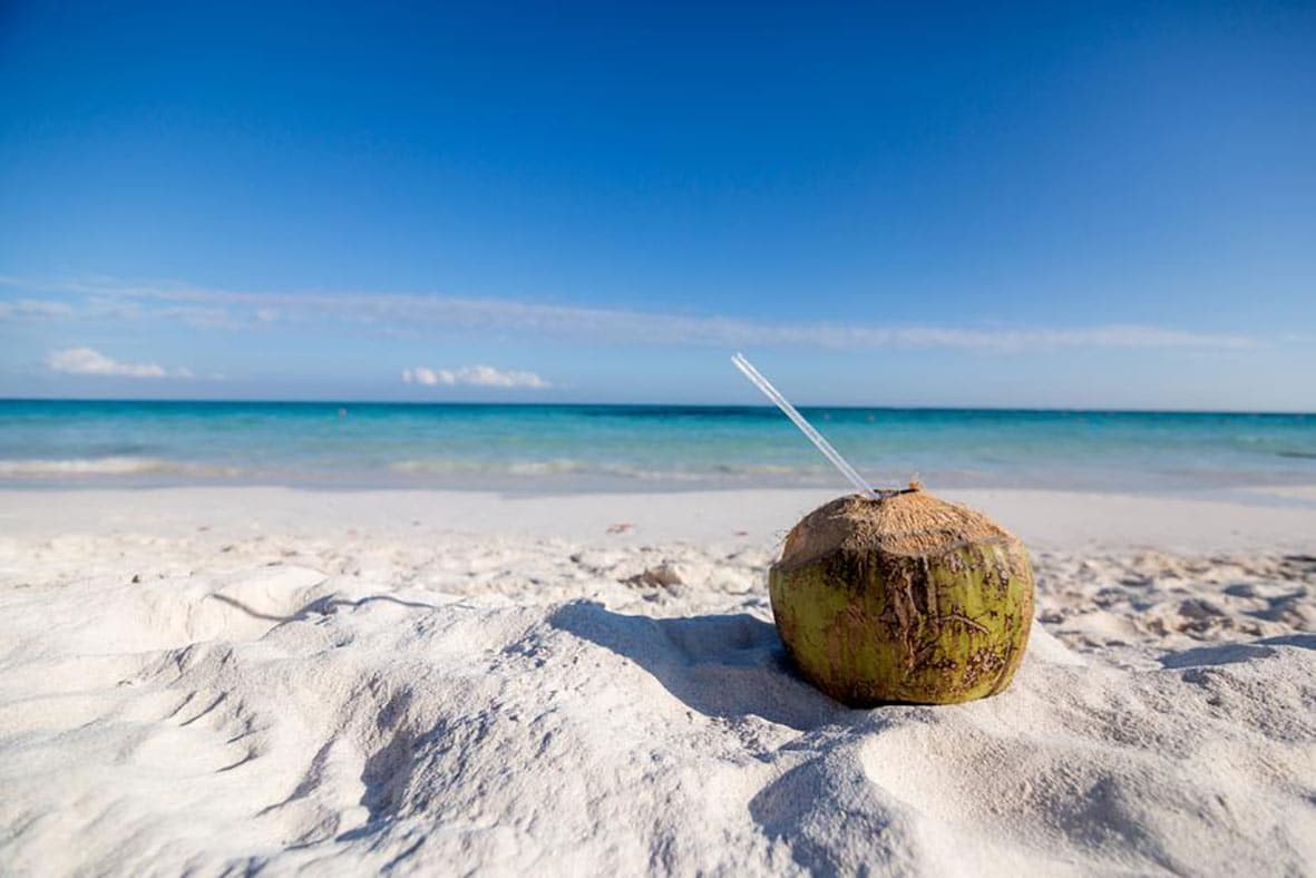 "ALT" Caribbean wedding photographer coconut"