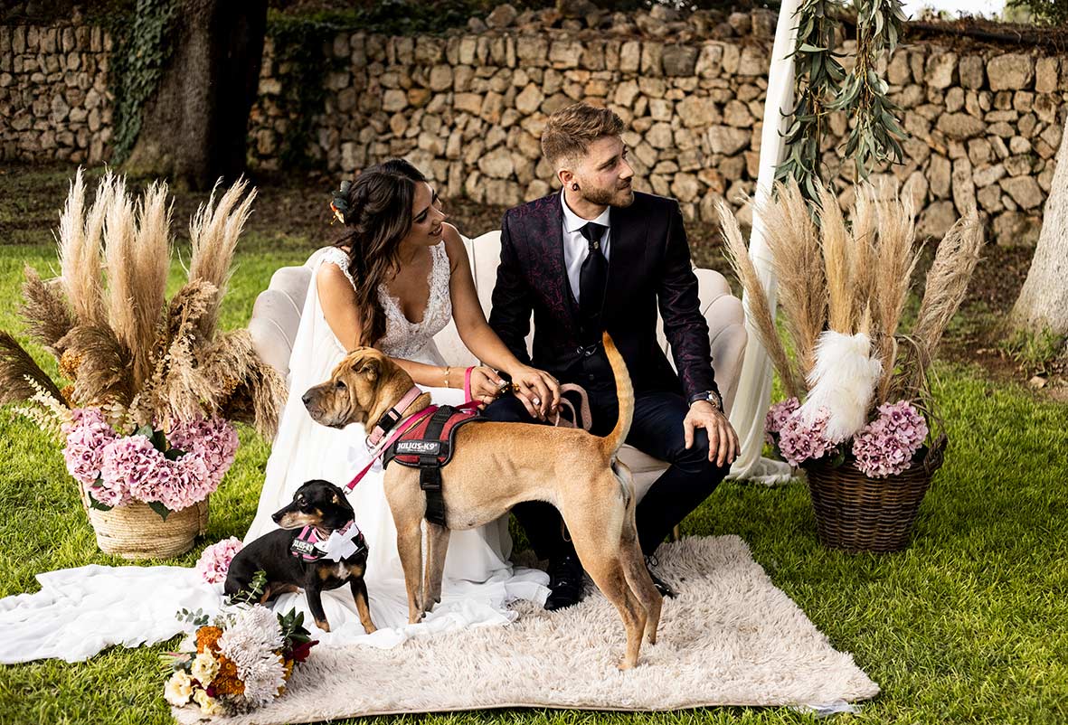 "ALT"bodas personalizadas en mallorca perritos"