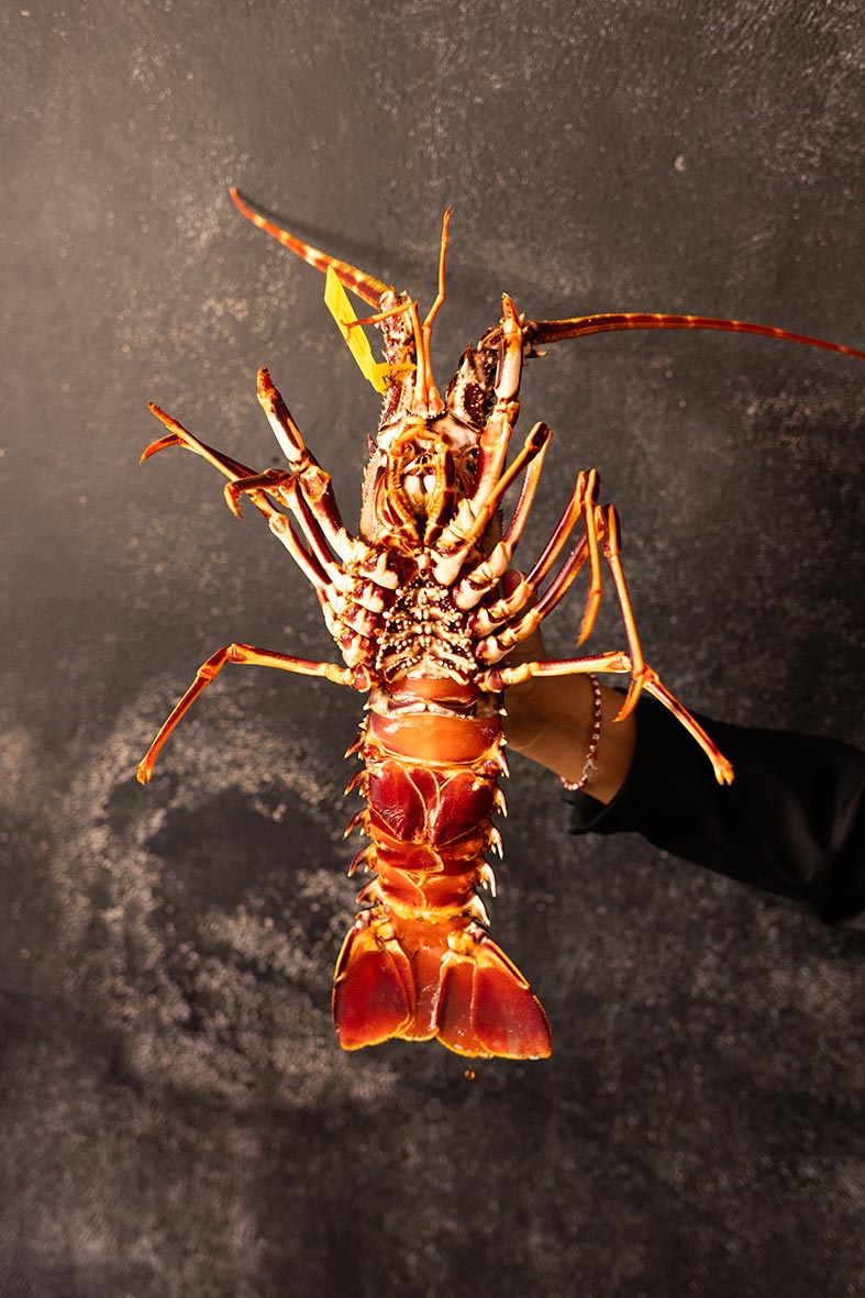 "alt"fotografo de gastronomia en mallorca langosta por debajo"