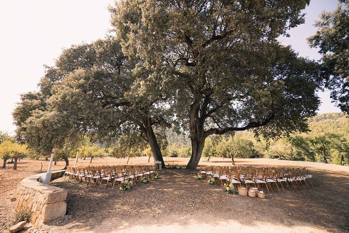 wedding ceremony Son Togores Mallorca under oak tree